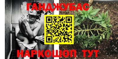 крисы Сланцы