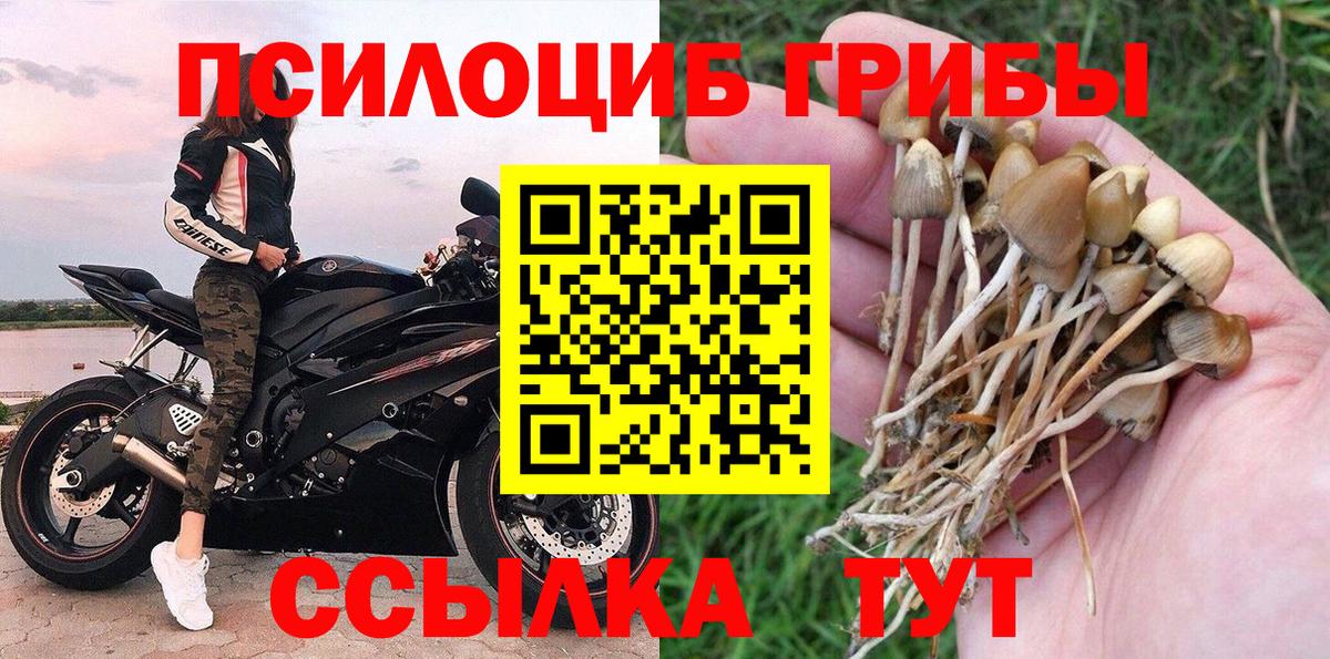 Галлюциногенные грибы мицелий  наркошоп  Новокубанск  Вход с VPN 
