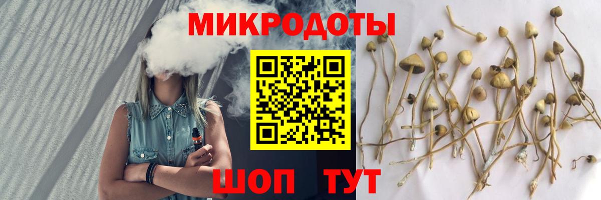Галлюциногенные грибы мухоморы Новокубанск